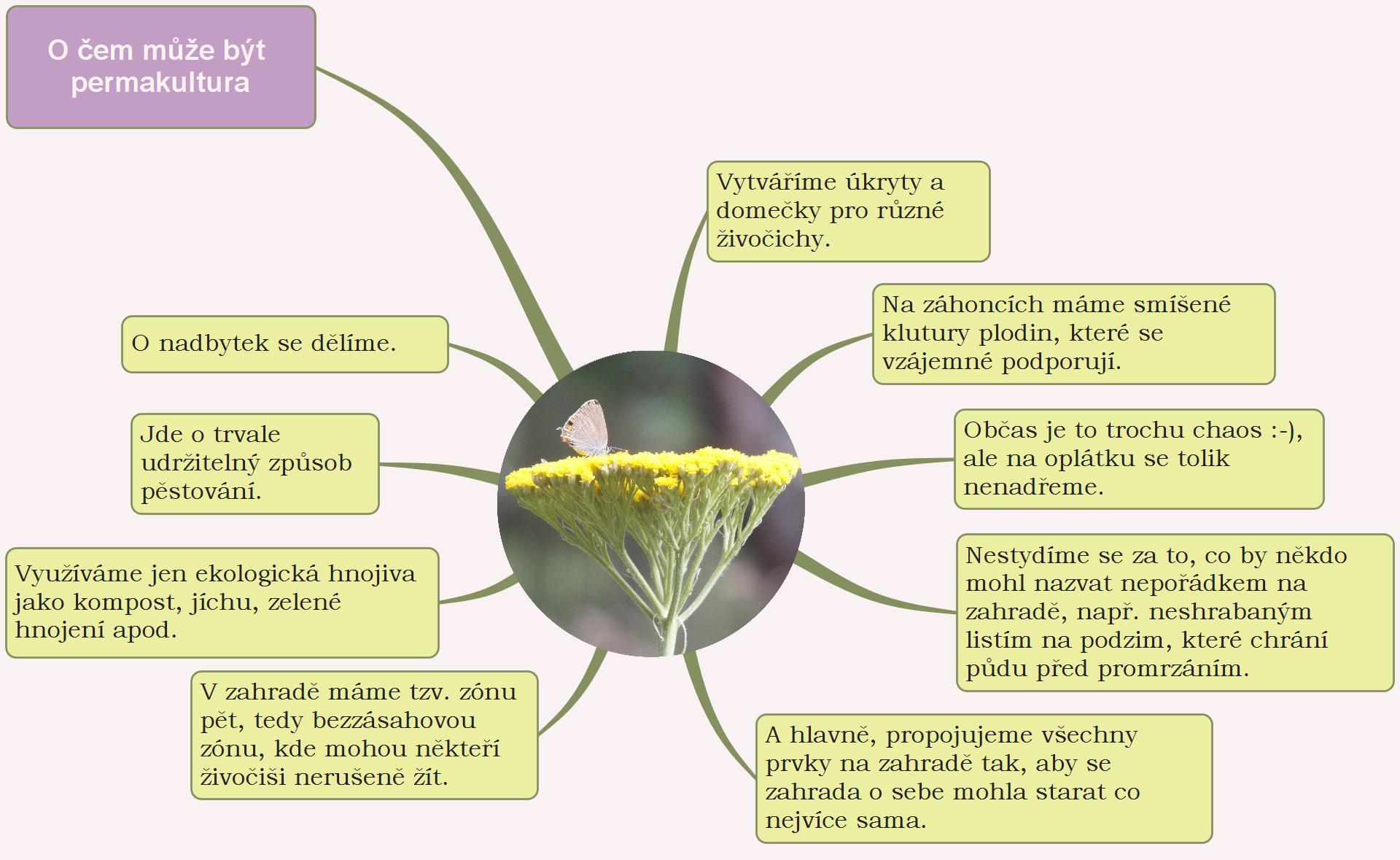 myšlenková mapa permakultury